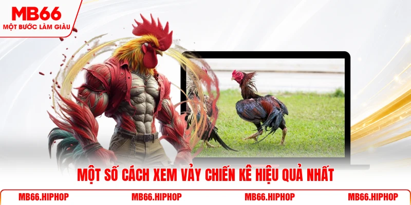 Một số cách xem vảy chiến kê hiệu quả nhất